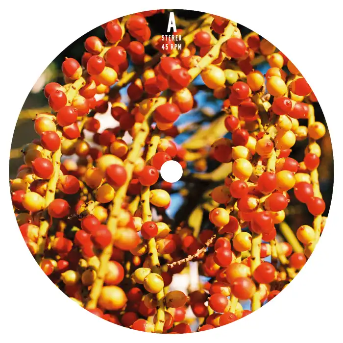 JOAO COMAZZI & MURRIN / SOL NOVO (12")