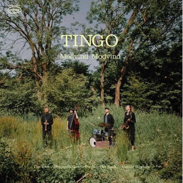 TINGO(JAZZ) / MEDVIND MODVIND (LP)
