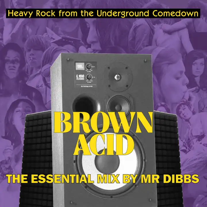 V.A. (BROWN ACID) / BROWN ACID "THE ESSENTIAL MIX" BY MR. DIBBS (LP)