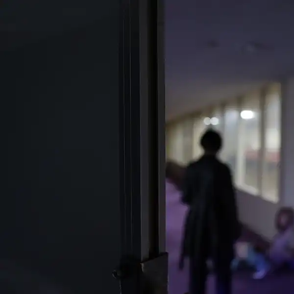 LAUSBUB / society | lazy
