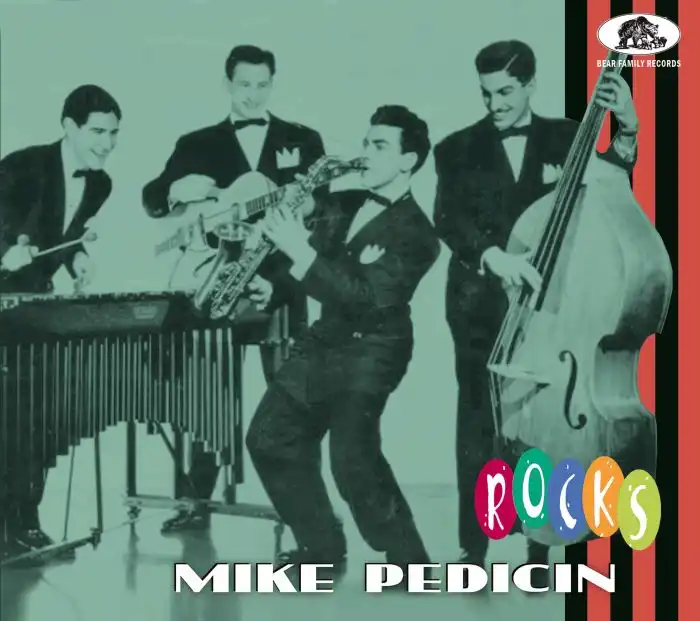 MIKE PEDICIN / マイク・ペディシン / ROCKS (CD)