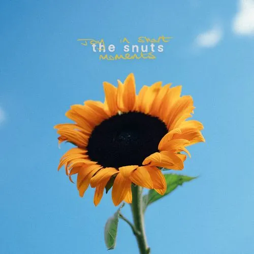 SNUTS / スナッツ / JOY IN SHORT MOMENTS (CD)