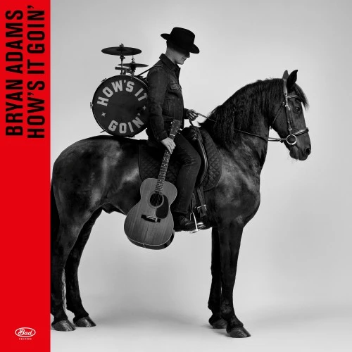 BRYAN ADAMS / ブライアン・アダムス / HOW'S IT GOIN' (CD)