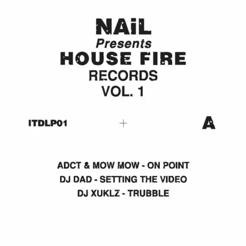 V.A. (IN THE DANCE) / HOUSE FIRE RECORDS VOL 1