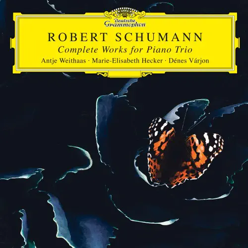 DENES VARJON / デーネシュ・ヴァーリョン / SCHUMANN:COMPLETE WORKS FOR PIANO TRIO