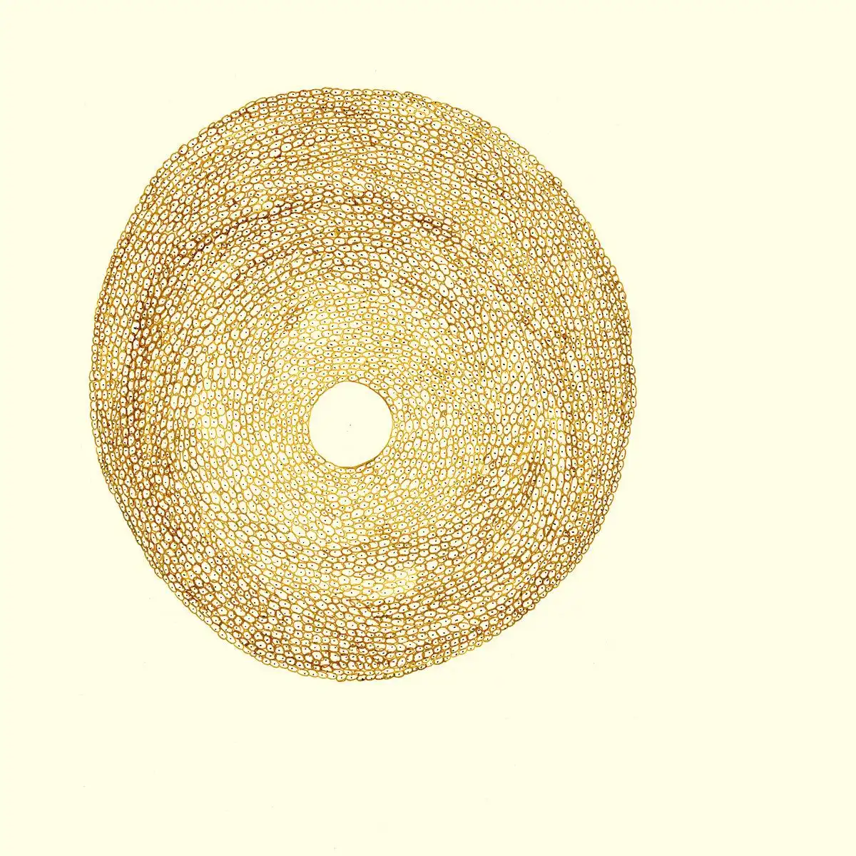 JORDI SANTANACH / STRATA