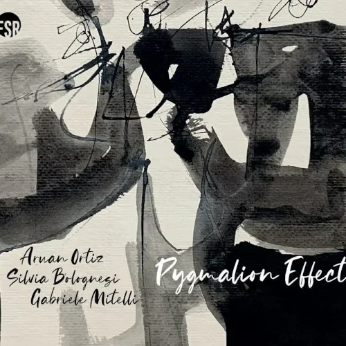 ARUAN ORTIZ / アルアン・オルティス / PYGMALION EFFECT