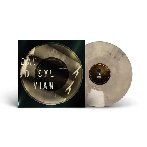 DAVID SYLVIAN / デヴィッド・シルヴィアン / THE DISTANCE BETWEEN THE KILLER AND THE KILLING (LP)