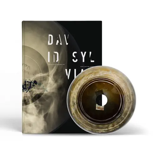DAVID SYLVIAN / デヴィッド・シルヴィアン / THE DISTANCE BETWEEN THE KILLER AND THE KILLING (LIMITED EDITION LP)