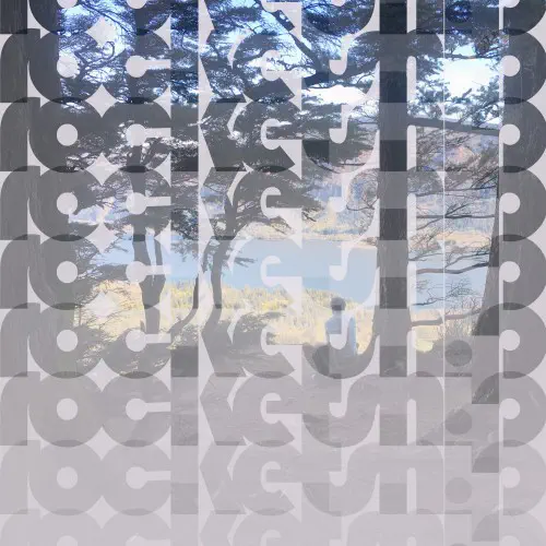 ROCKETSHIP / ロケットシップ / HURT FEELINGS (LP)