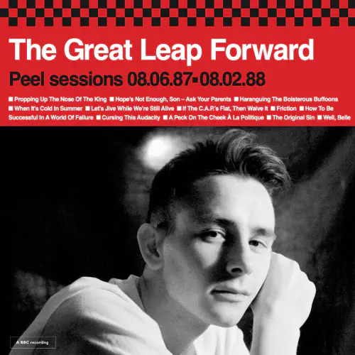 GREAT LEAP FORWARD / PEEL SESSIONS 87-88 (LP)