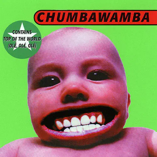 CHUMBAWAMBA / チャンバワンバ / TUBTHUMPER (2LP)