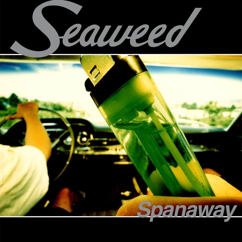 SEAWEED / SPANAWAY (LP)