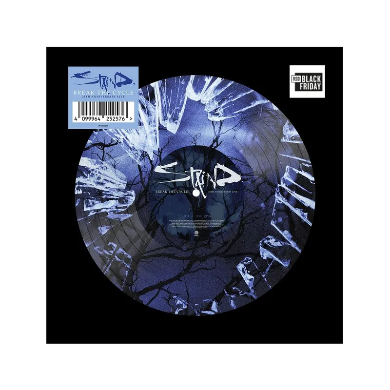 STAIND / ステインド / BREAK THE CYCLE (LP)