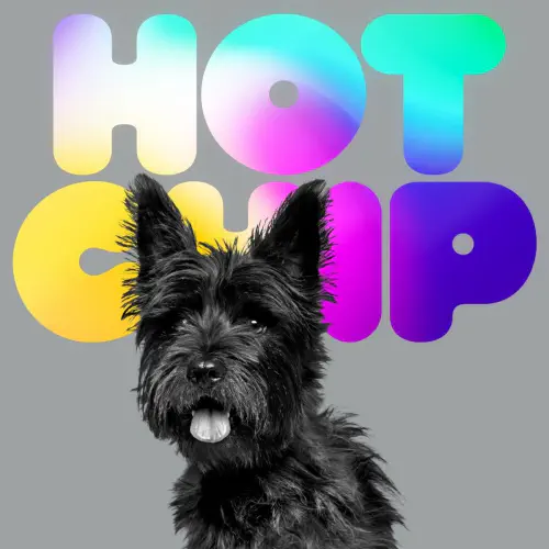 [HOT CHIP] 英ガーディアン誌も評するホット・チップが9作目をリリース!!