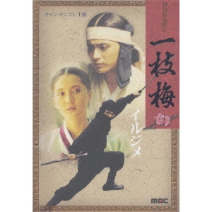 チャン・ドンゴン / イルジメ DVD-BOX