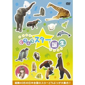 高橋雄弥 / どうぶつスター誕生!