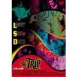 ROGER CORMAN / ロジャー・コーマン / 白昼の幻想
