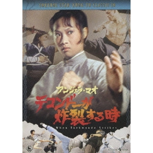 ファン・フェン / テコンドーが炸裂する時