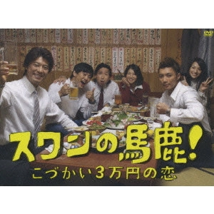 TAKAYA KAMIKAWA / 上川隆也 / スワンの馬鹿!~こづかい3万円の恋~ DVD-BOX