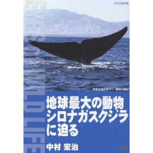中村宏治 / 地球最大の動物 シロナガスクジラに迫る