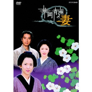 EMI WAKUI / 和久井映見 / 華岡青洲の妻