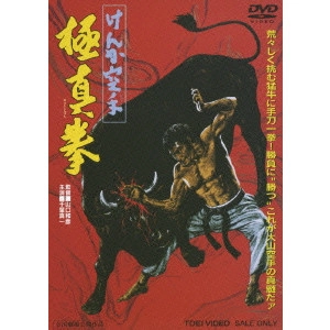 KAZUHIKO YAMAGUCHI / 山口和彦 / けんか空手 極真拳
