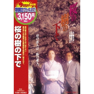 TAKAMORI RYUICHI / 鷹森立一 / 桜の樹の下で