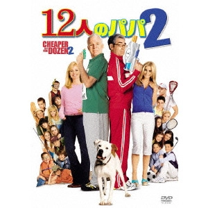 ADAM SHANKMAN / アダム・シャンクマン / 12人のパパ2