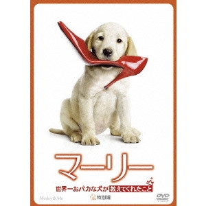 David Frankel / デイヴィッド・フランケル / マーリー 世界一おバカな犬が教えてくれたこと 特別編