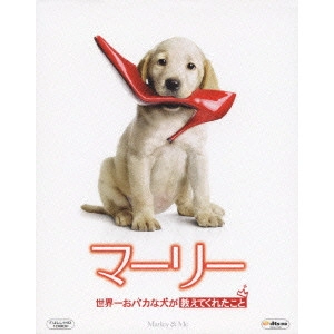 David Frankel / デイヴィッド・フランケル / マーリー 世界一おバカな犬が教えてくれたこと
