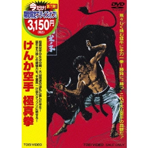 KAZUHIKO YAMAGUCHI / 山口和彦 / けんか空手 極真拳