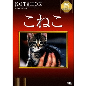 イワン・ポポフ / こねこ
