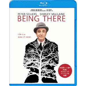 HAL ASHBY / ハル・アシュビー / チャンス 30周年記念版