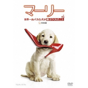 DAVID FRANKEL / デヴィッド・フランケル / マーリー 世界一おバカな犬が教えてくれたこと 特別編