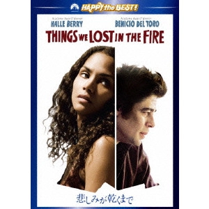 SUSANNE BIER / スサンネ・ビア / 悲しみが乾くまで