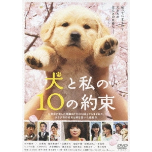 KATSUHIDE MOTOKI / 本木克英 / 犬と私の10の約束