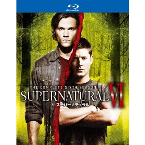 ジャレッド・パダレッキ / SUPERNATURAL VI スーパーナチュラル <シックス・シーズン> コンプリート・ボックス