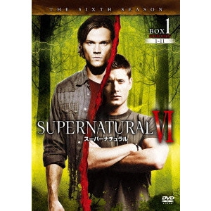 ジャレッド・パダレッキ / SUPERNATURAL VI スーパーナチュラル <シックス・シーズン> コンプリート・ボックス