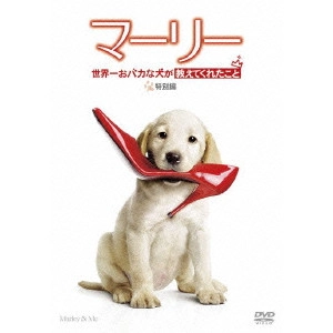 David Frankel / デイヴィッド・フランケル / マーリー 世界一おバカな犬が教えてくれたこと 特別編