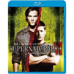 ジャレッド・パダレッキ / SUPERNATURAL VI スーパーナチュラル <シックス・シーズン> コンプリート・セット