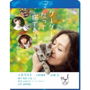 ISSHIN INUDO / 犬童一心 / グーグーだって猫である スペシャル・エディション