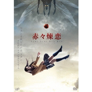 KAZUYA KONAKA / 小中和哉 / 赤々煉恋
