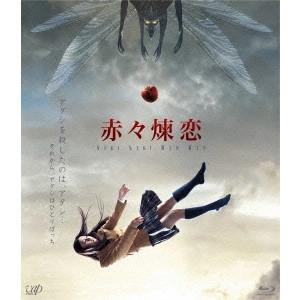 KAZUYA KONAKA / 小中和哉 / 赤々煉恋