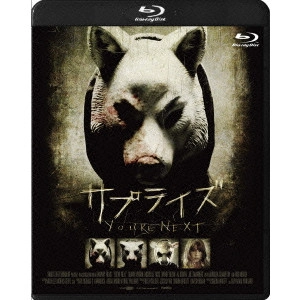 ADAM WINGARD / アダム・ウィンガード / サプライズ
