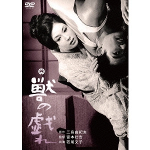 SOKICHI TOMIMOTO / 富本壮吉 / 獣の戯れ