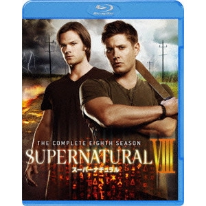 ジャレッド・パダレッキ / SUPERNATURAL VIII スーパーナチュラル <エイト・シーズン> コンプリート・ボックス