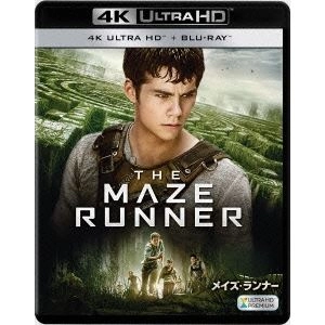 WES BALL / ウェス・ボール / メイズ･ランナー UltraHD