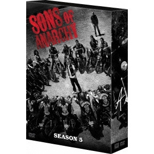 チャーリー・ハナム       / サンズ・オブ・アナーキー シーズン5 DVDコレクターズBOX