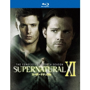 ジャレッド・パダレッキ / SUPERNATURAL XI スーパーナチュラル <イレブン・シーズン> コンプリート・ボックス